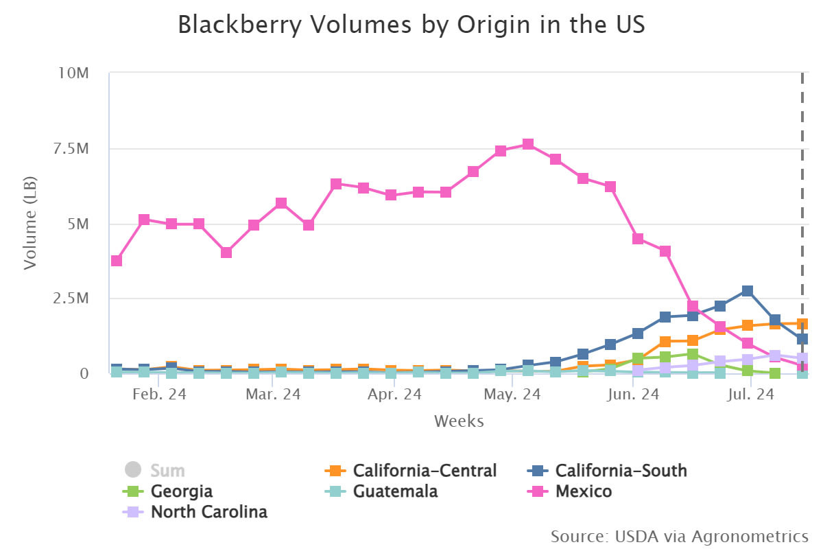 blackberry volumes by or